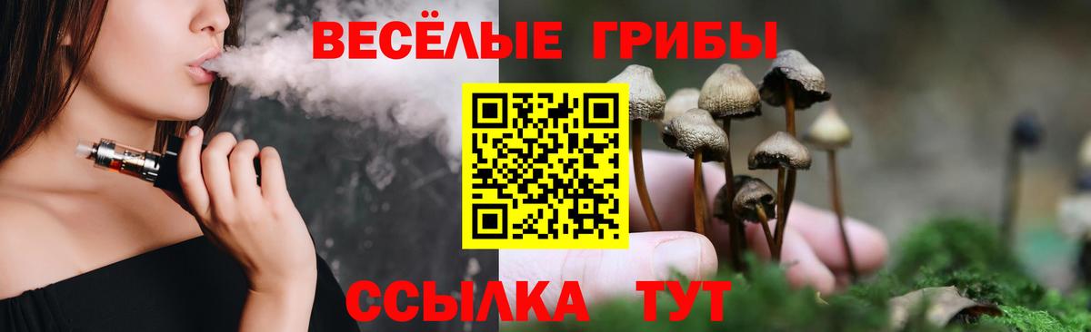 Псилоцибиновые грибы MAGIC MUSHROOMS  Вход с VPN  Менделеевск 
